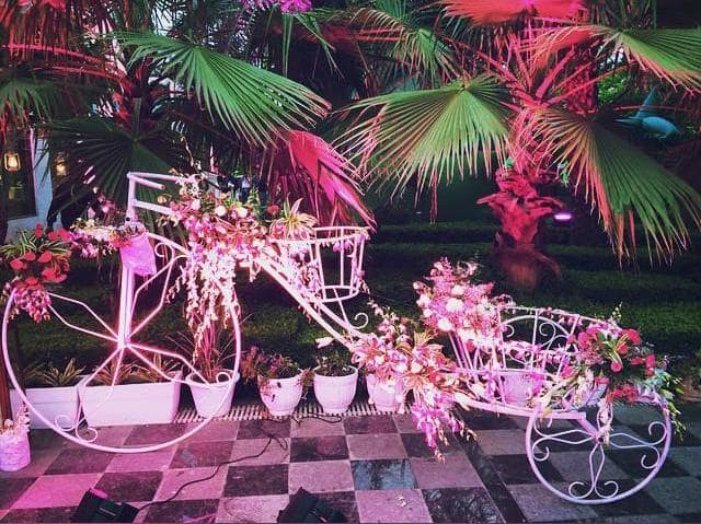 diy ideas for decoration:elusive dreams