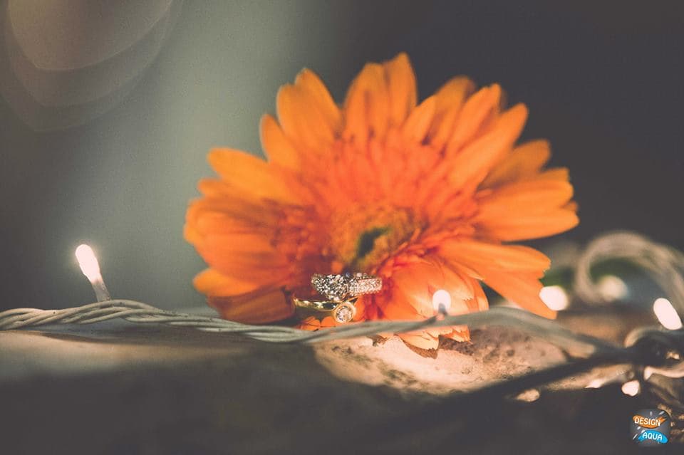 design aqua photography:design aqua