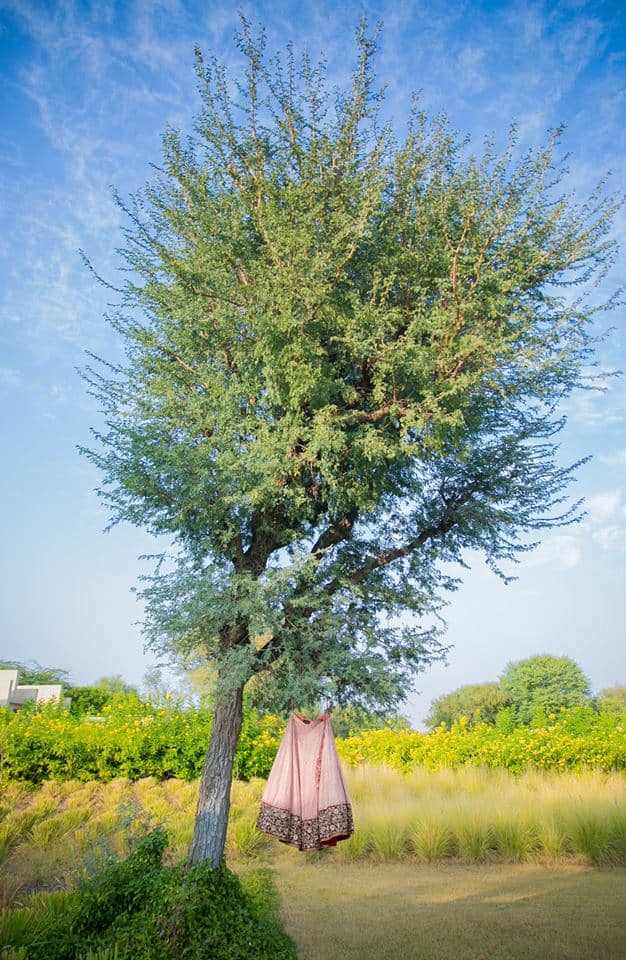 nature beauty:fotografia 9