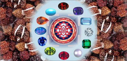 Drishti Sanchar Astrologers weddingplz