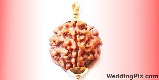 Aagam Jyotish Kendra Astrologers weddingplz