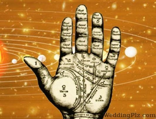 Astrologer Vinay Garg Astrologers weddingplz