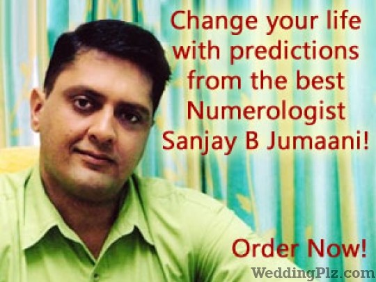 Astroyogi.com Astrologers weddingplz