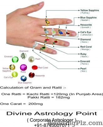 Divine Astrology Point Corporate Astrologer Astrologers weddingplz