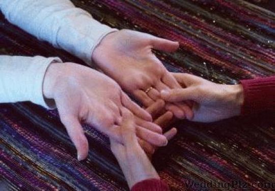 Astro Vision Astrologers weddingplz