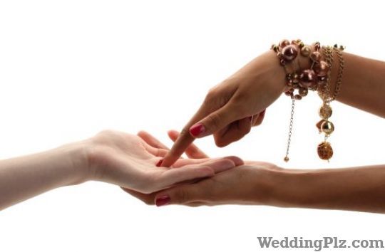 Jimi Astrologer Astrologers weddingplz