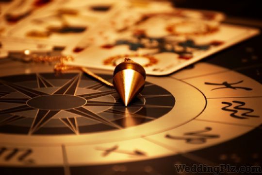 Pandit Aditya Tripathi Astrologers weddingplz