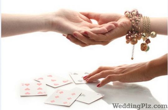 Pandit Santosh Rao Astrologers weddingplz