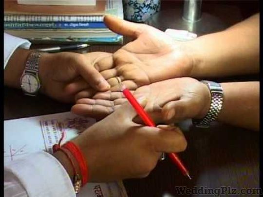 Shri Hemendra Joshi Astrologers weddingplz