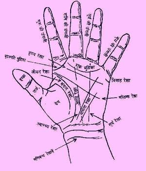 Dr. Joshi Astrologer Astrologers weddingplz