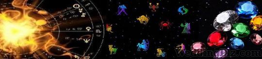 Bright Future Astro and Vastu Astrologers weddingplz