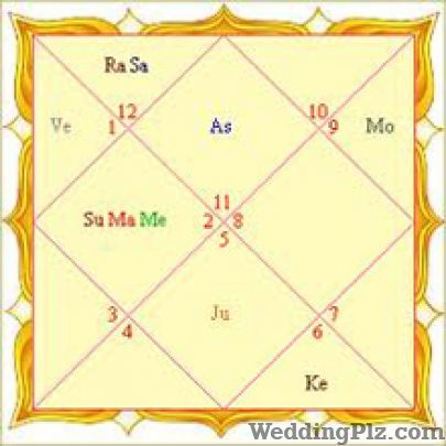 Future Vision Astrologers weddingplz