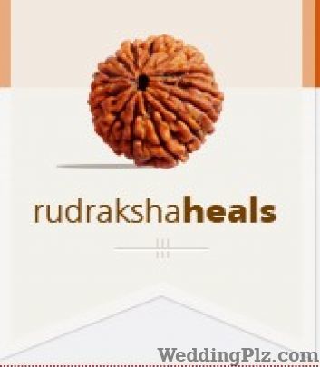 Rudraksha Heals Astrologers weddingplz