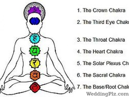 Healing Hands Integrated Holistic Health Care Astrologers weddingplz