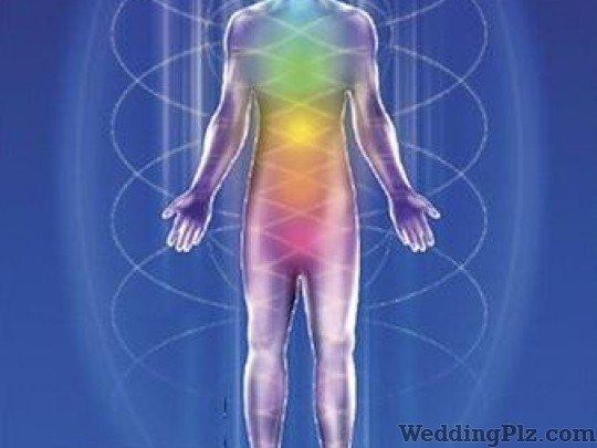 Healing Hands Integrated Holistic Health Care Astrologers weddingplz