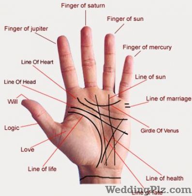 Prashakti Kripa Kendra Astrologers weddingplz