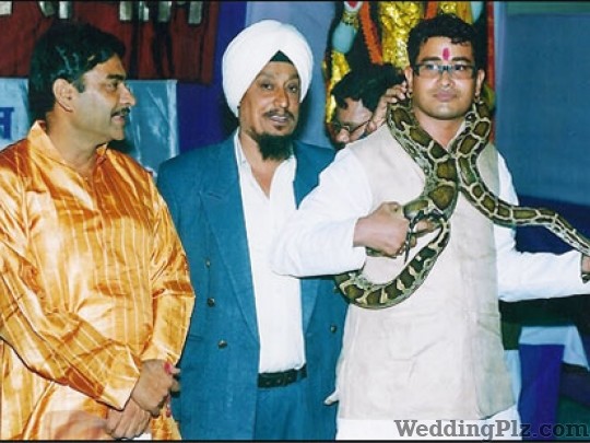 Maharishi Gems Jewellery and Jyotish Kendra Astrologers weddingplz