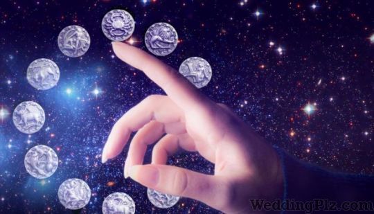 Pandit Amit Varma Astrologers weddingplz