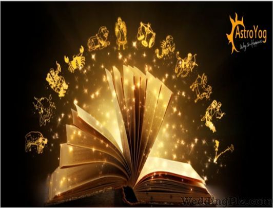 Best Astrologer in India Andndash Astroyogcom Astrologers weddingplz