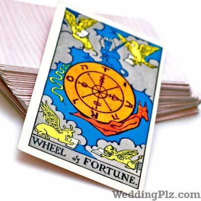 Shivangi Tarot Astrologers weddingplz