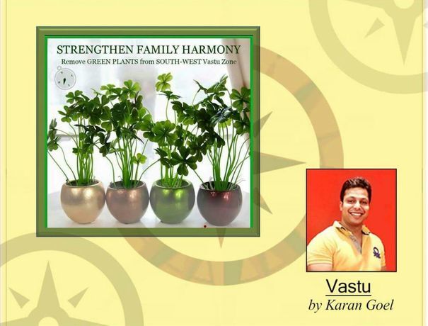 Maha Vastu Karan Goel Astrologers weddingplz