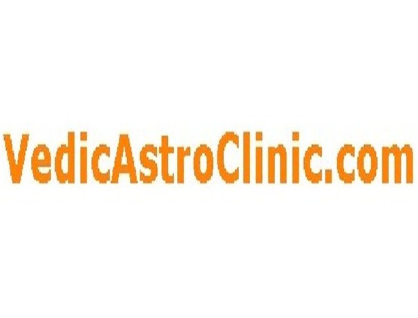 VedicAstroClinic.com Astrologers weddingplz