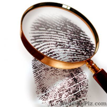 Frisk Investigation Detective Services weddingplz