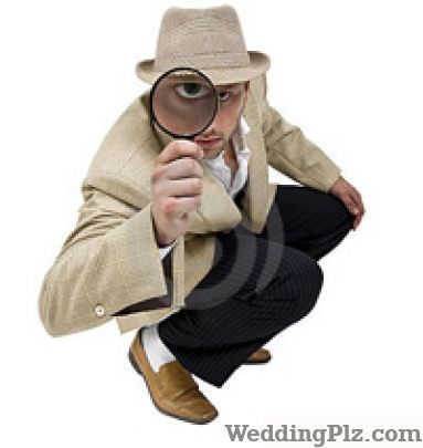 Ask Detective Agency Detective Services weddingplz