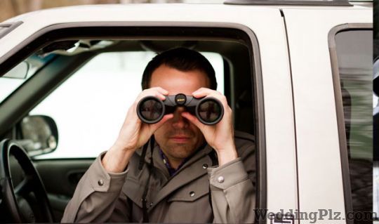 Tiger Security and Detective Service Detective Services weddingplz