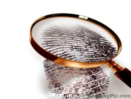 Avon Detective Detective Services weddingplz
