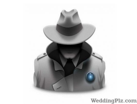 Devine Shakti Detective Services weddingplz
