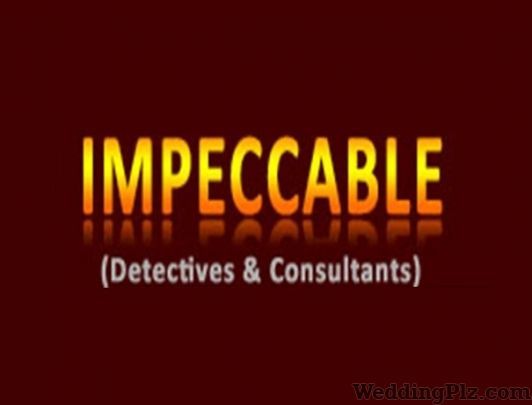 Impeccable Detective Detective Services weddingplz