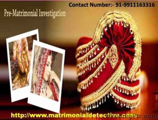 Vrokx Detective Agency in Delhi  Matrimonial Detectives Detective Services weddingplz