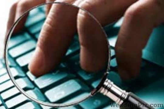 The Third Eye Investigations Detective Services weddingplz