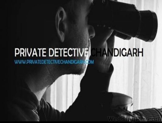 Private Detective Chandigarh Detective Services weddingplz
