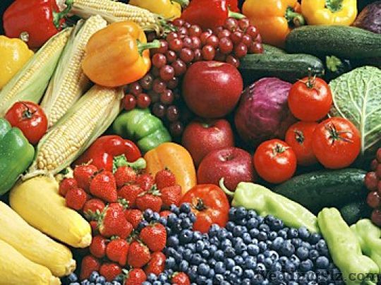 Harleen Bakshi Dieticians and Nutritionists weddingplz