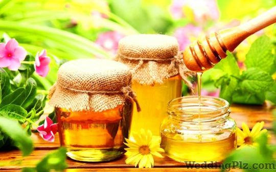 Nutri Health Dieticians and Nutritionists weddingplz