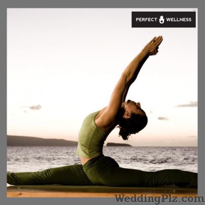 Perfect Wellness Dieticians and Nutritionists weddingplz