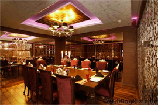 The Brewmaster Ludhiana Discotheques weddingplz