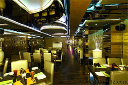 The Brewmaster Ludhiana Discotheques weddingplz