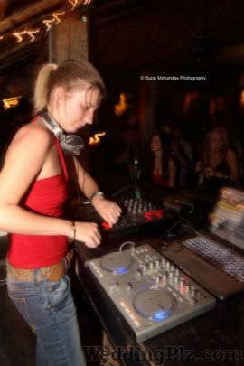 Pebble The Jungle Lounge Discotheques weddingplz