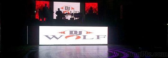 DJ Wolf Events and Entertainment DJ weddingplz