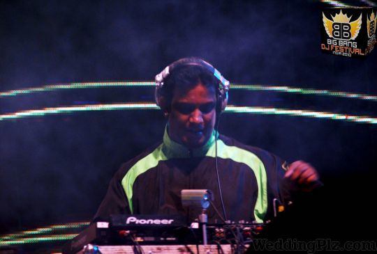 Dj Swing DJ weddingplz