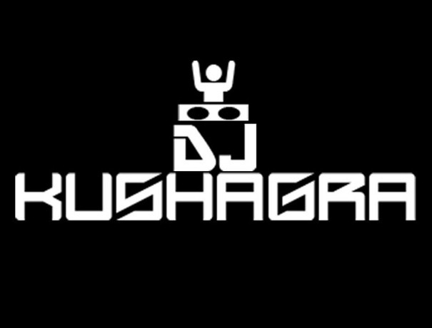 DJ Kushagra DJ weddingplz