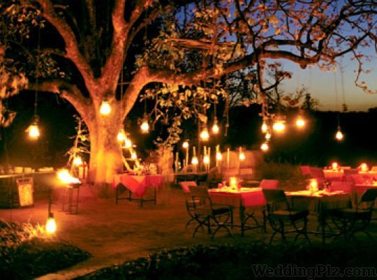 Wedlocks Event Management Companies weddingplz