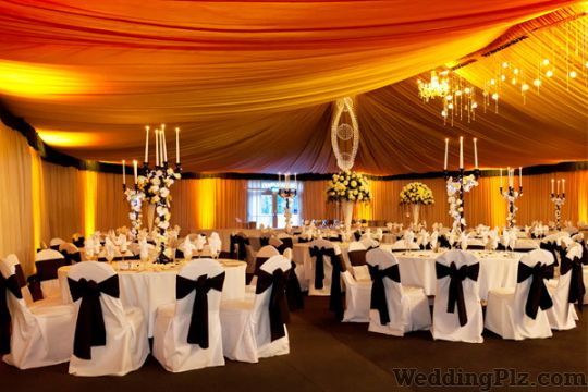 The Amethyst Event Management Companies weddingplz