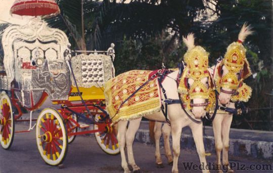 Show Events Entertainments Event Management Companies weddingplz