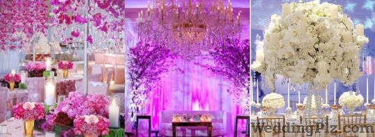 Pristino Events Event Management Companies weddingplz