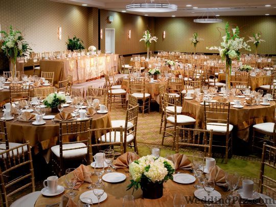 Earth Events Event Management Companies weddingplz
