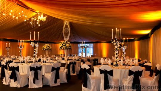 Pace Romotional Arts and Creative Entertainment Event Management Companies weddingplz